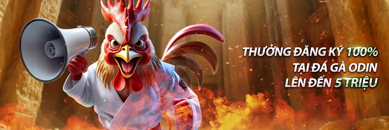 Các chương trình khuyến mãi ao88 hấp dẫn